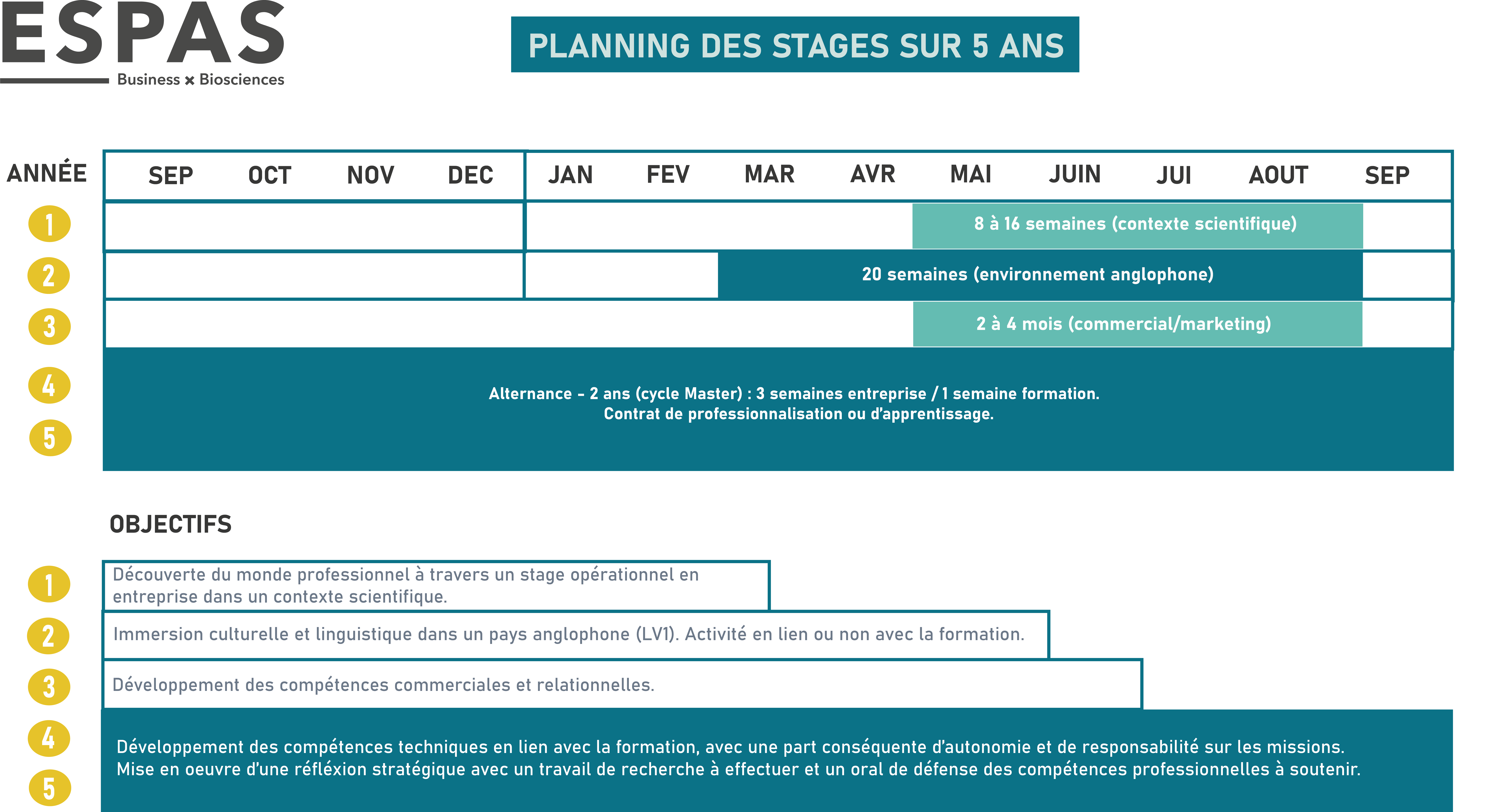 ESPAS - Entreprises - Alumni - Stage Alternance -Bannière - Planning des stages ESPAS